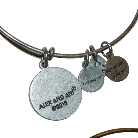 Alex And Ani Bangle Bracelets Initial C, Garnet Birthstone, It Is What It Is - Picture 8 of 9